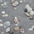 Zand en schelpen